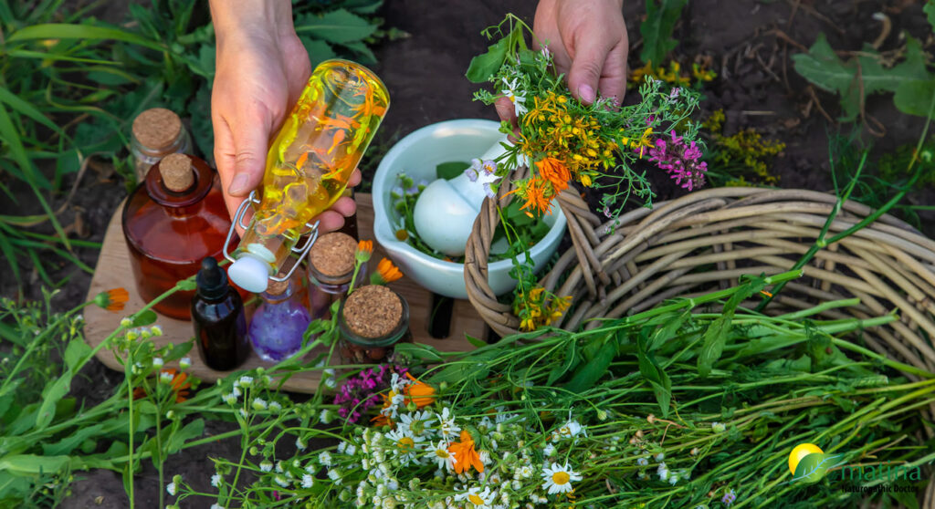 Making herbal tinctures